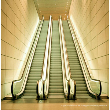 Sicher Gre20 Nice Quality Escalator